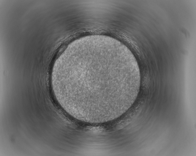 X0000111130689200907281051