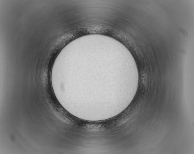 X0000111130690200907281051