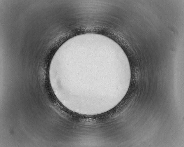 X0000111130691200907281051