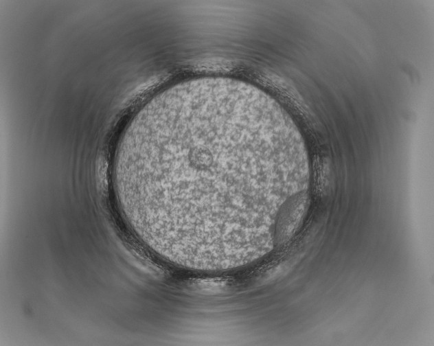 X0000111130692200907281051
