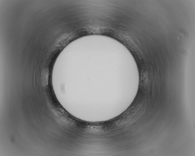 X0000111130694200907281051