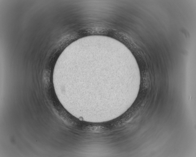 X0000111130695200907281051