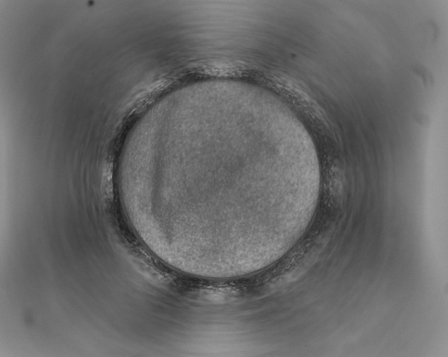 X0000111130696200907281051