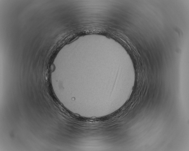 X0000111130701200907281051