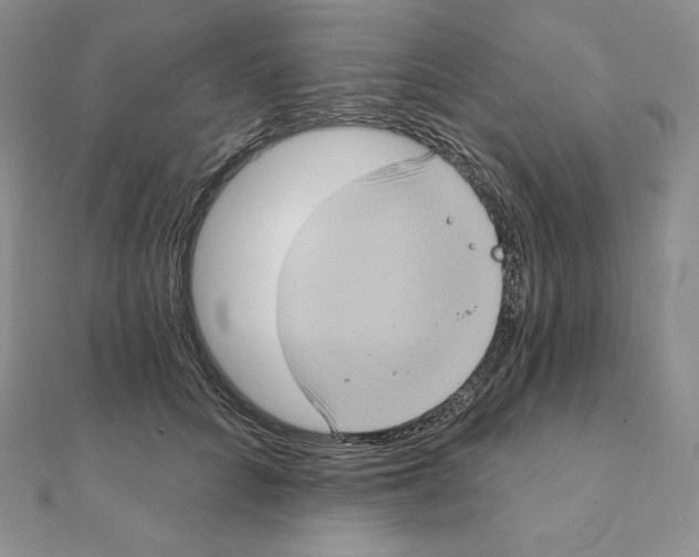 X0000111130704200907281051