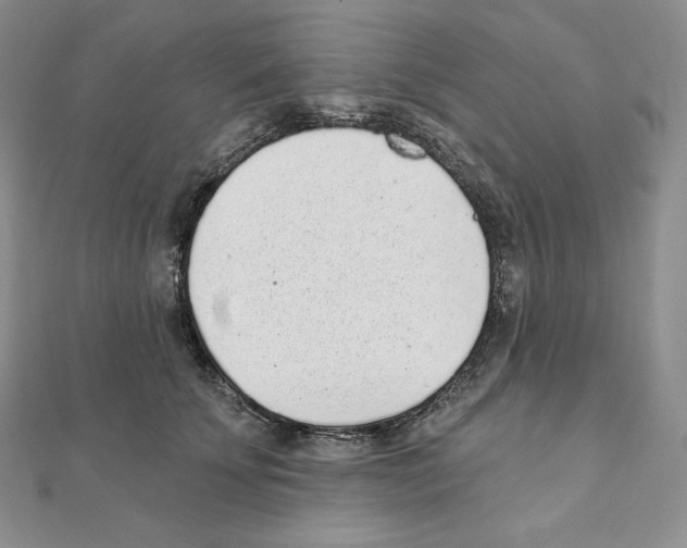 X0000111130707200907281051