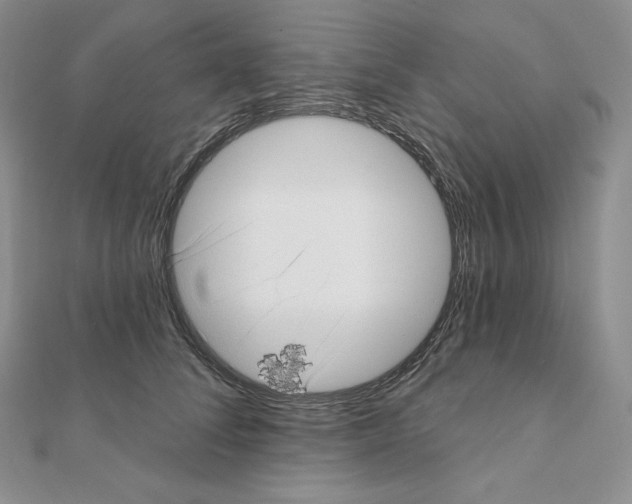 X0000111130708200907281051