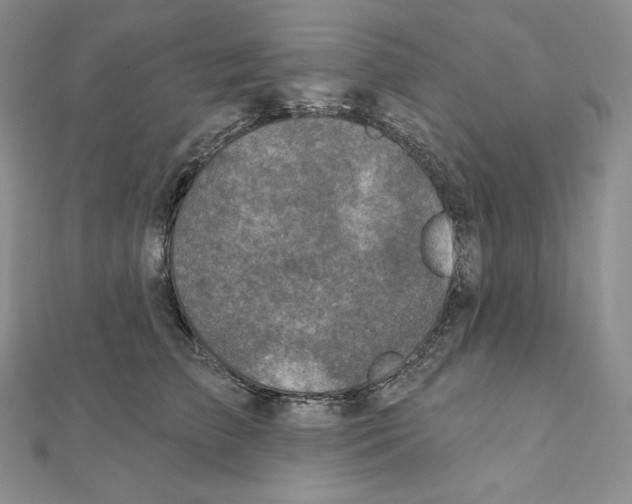 X0000111130709200907281051
