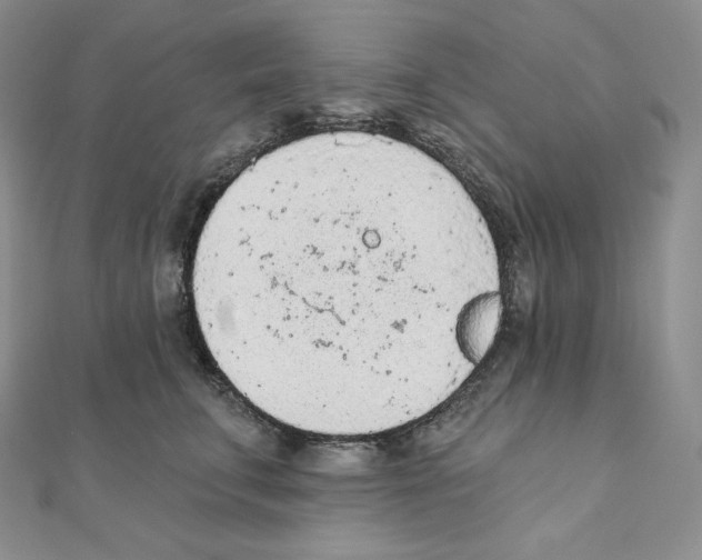 X0000111130711200907281051