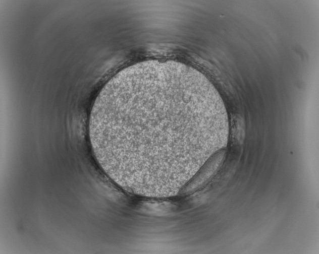 X0000111130712200907281051