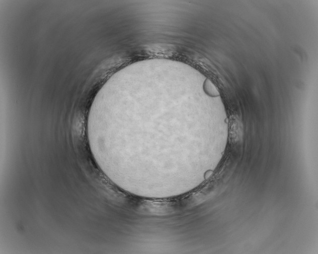 X0000111130713200907281051
