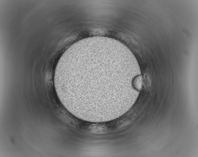 X0000111130714200907281051