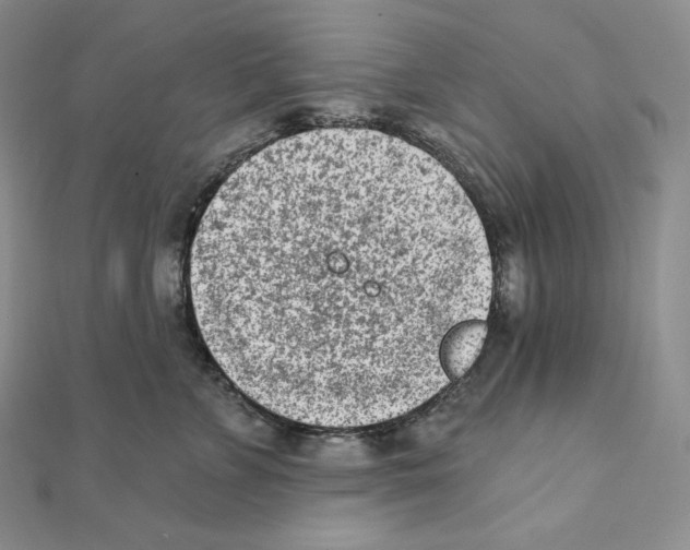 X0000111130715200907281051