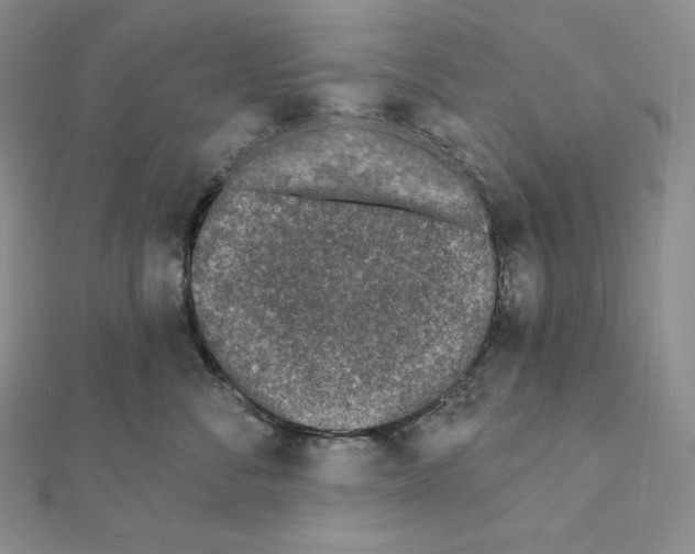 X0000111130716200907281051