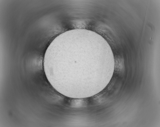 X0000111130717200907281051