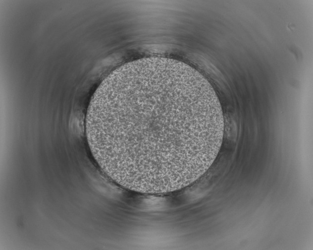 X0000111130718200907281051