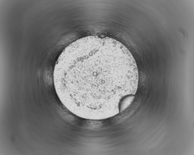X0000111130719200907281051