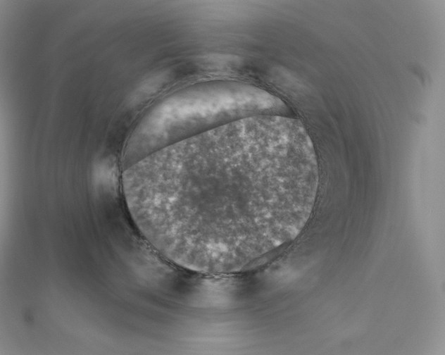 X0000111130720200907281051