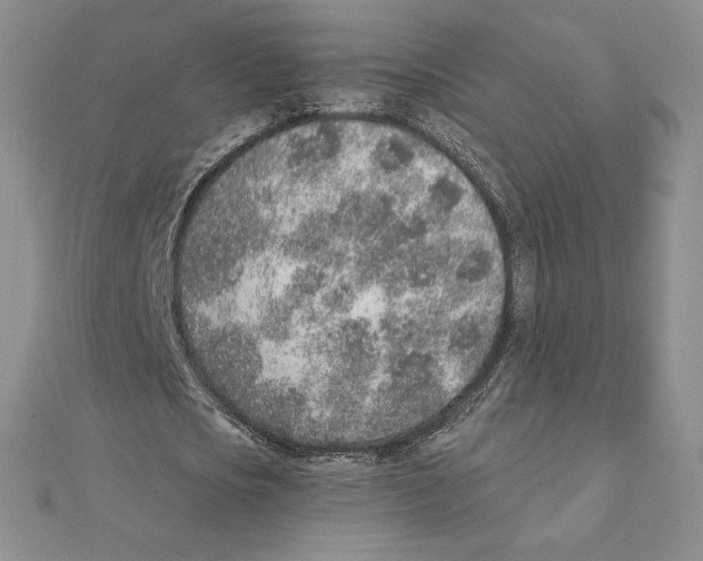 X0000111130721200907281050