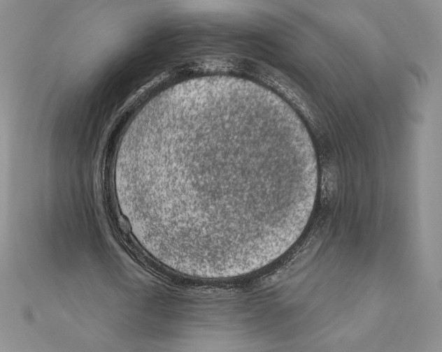 X0000111130722200907281050