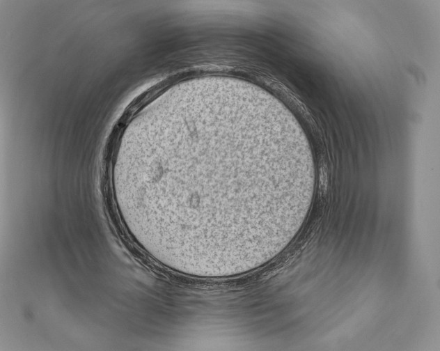 X0000111130724200907281050
