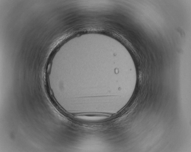 X0000111130725200907281050