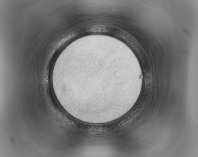 X0000111130727200907281050