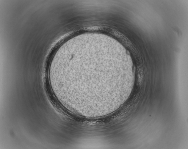 X0000111130728200907281050