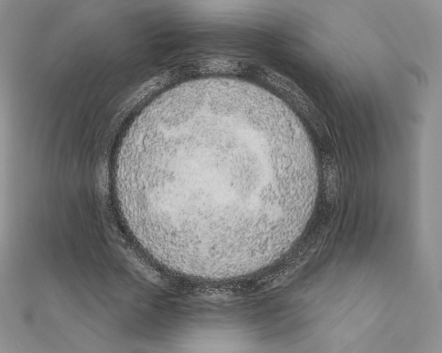X0000111130729200907281050
