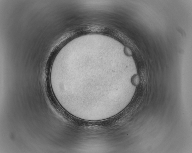 X0000111130730200907281050