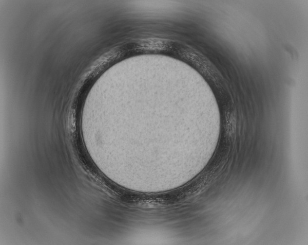 X0000111130731200907281050