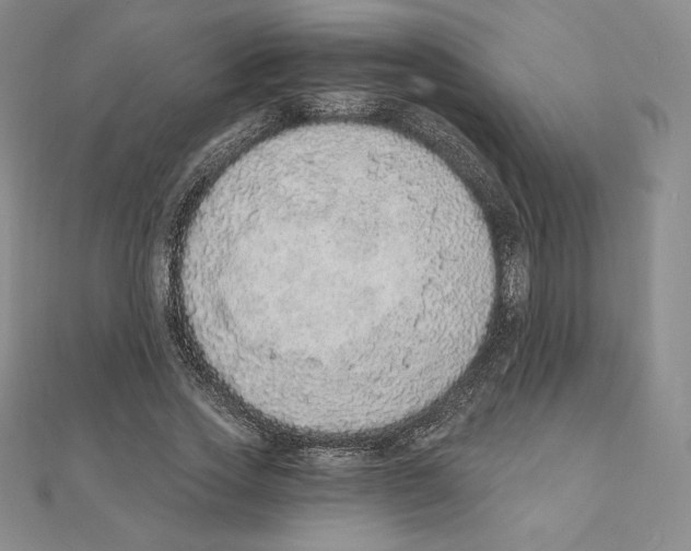 X0000111130733200907281050