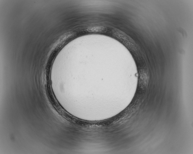 X0000111130734200907281050