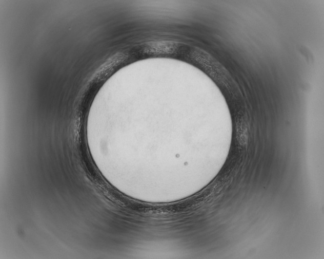 X0000111130735200907281050