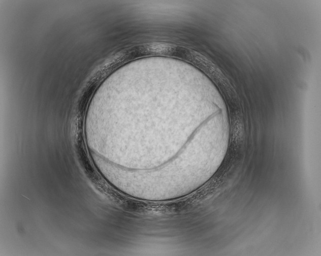 X0000111130736200907281050