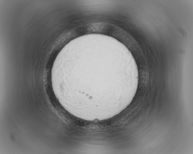 X0000111130738200907281050