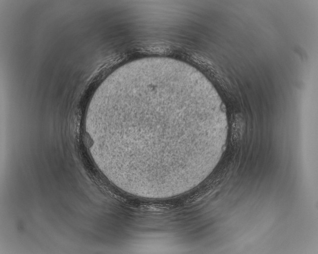 X0000111130739200907281050