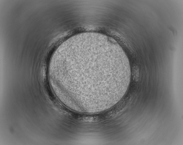 X0000111130740200907281050