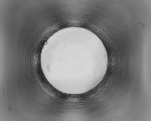 X0000111130742200907281050