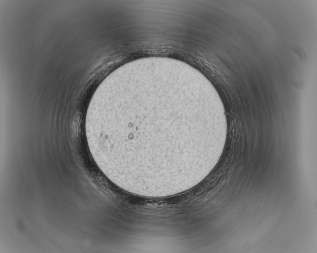 X0000111130744200907281050