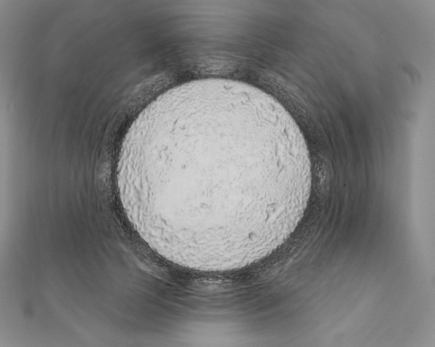 X0000111130745200907281051