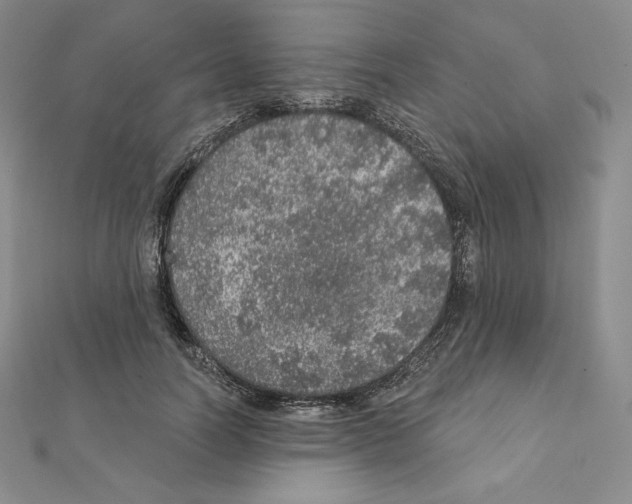 X0000111130746200907281051