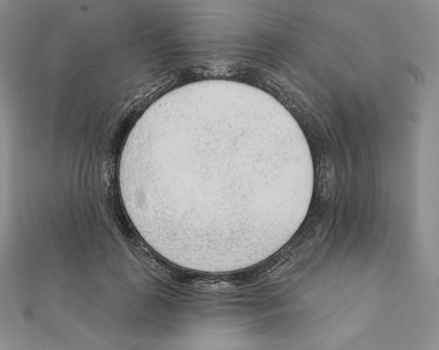 X0000111130747200907281051