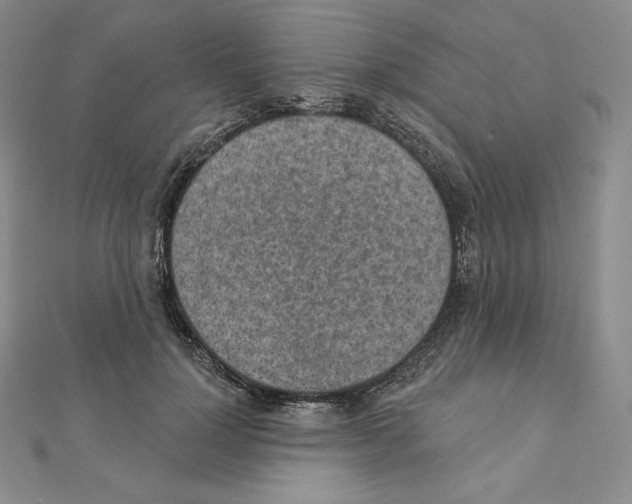 X0000111130748200907281051