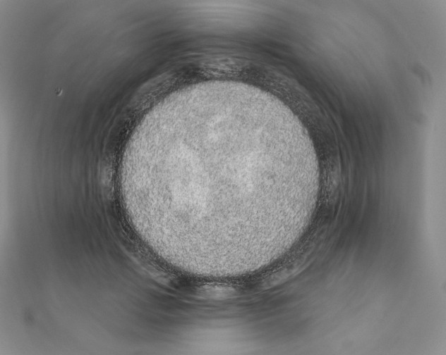 X0000111130749200907281051