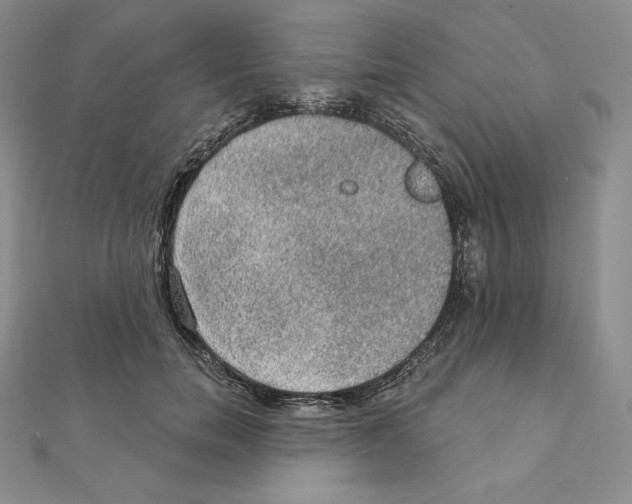 X0000111130750200907281051