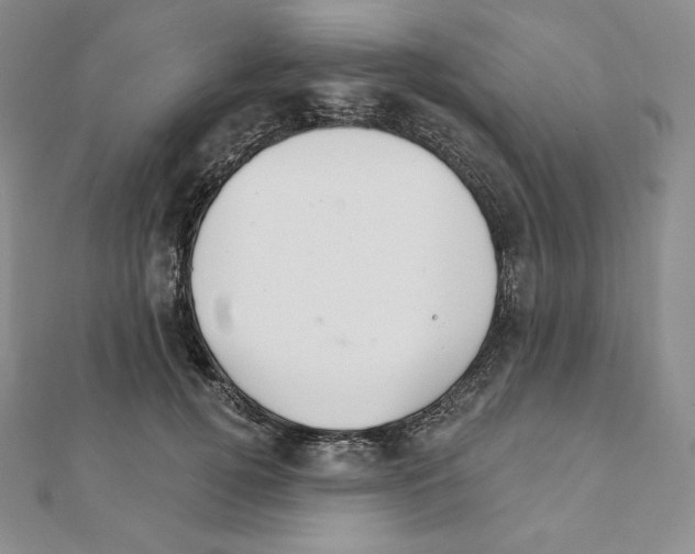 X0000111130752200907281051
