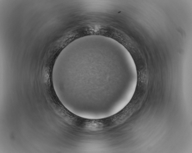 X0000111130754200907281051