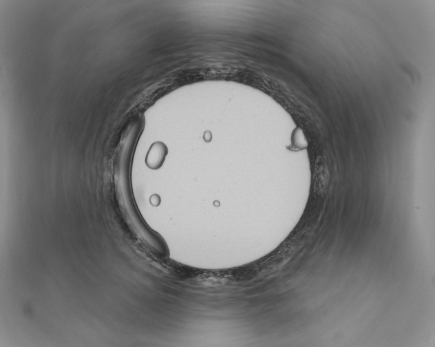 X0000111130756200907281051