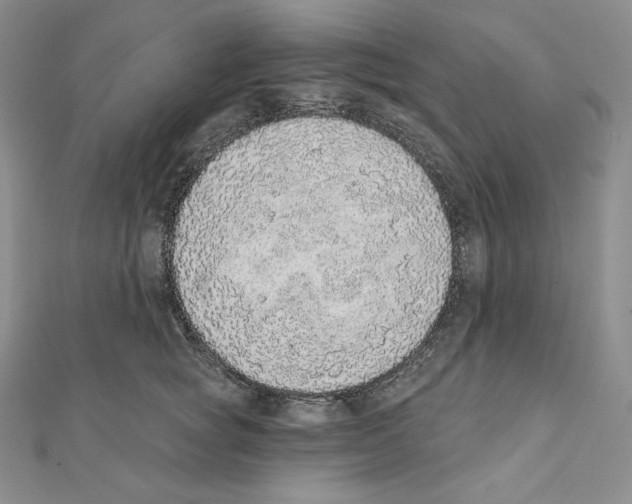 X0000111130757200907281051